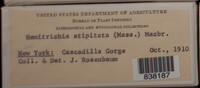 Image Associated With the Occurence